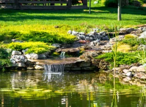 lake in the backyard